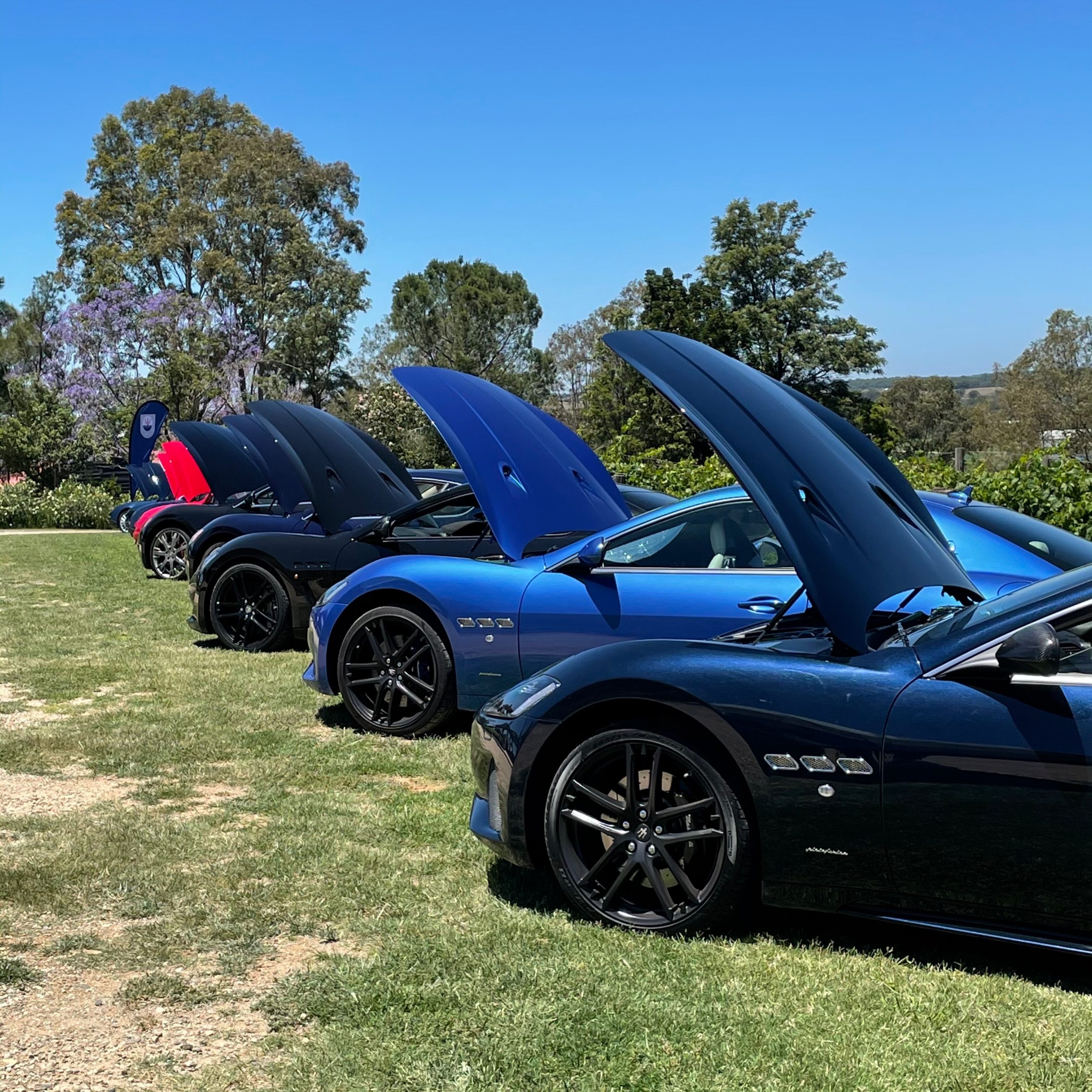 Club Maserati Picnic and Concours Hunter Valley